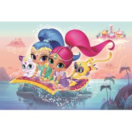 SHANNY Vinyl Custom Photography Backdrops Prop Shimmer and shine Cartoon Theme Photography Background SS-00028