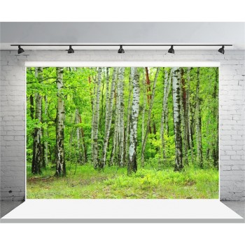 Laeacco Spring Green Forest Trees Scenic Photography Backdrops Vinyl Photo Backdrop Custom Backgrounds Props For Photo Studio