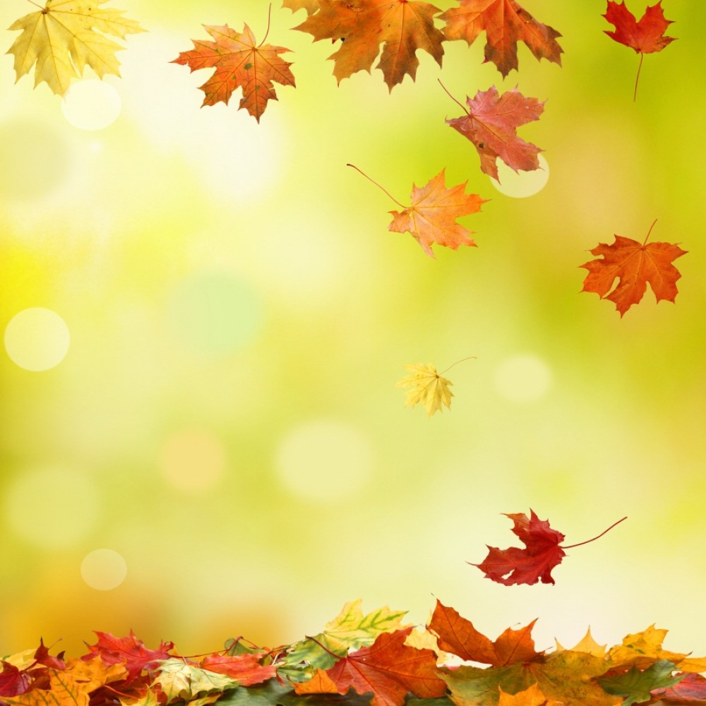 Laeacco Autumn Fallen Leaves Bokeh Scenery Portrait Baby Photography Backgrounds Custom Photographic Backdrops For Photo Studio