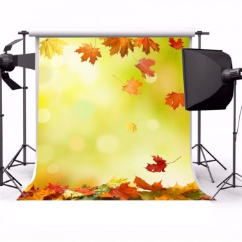 Laeacco Autumn Fallen Leaves Bokeh Scenery Portrait Baby Photography Backgrounds Custom Photographic Backdrops For Photo Studio