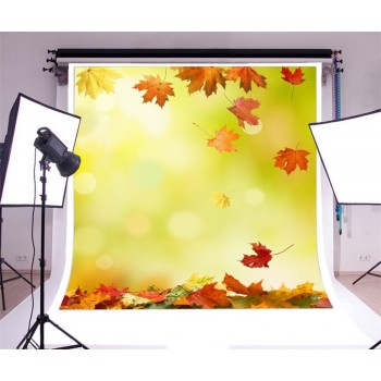 Laeacco Autumn Fallen Leaves Bokeh Scenery Portrait Baby Photography Backgrounds Custom Photographic Backdrops For Photo Studio