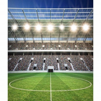 Allenjoy photography backdrop football field sports glitter custom birthday background fabric photo prop printed