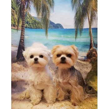 SJOLOON vinyl summer beach photography background baby Background picture digital print background pic photocall studio props