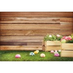 Laeacco Easter Photography Backgrounds Eggs Wooden Boards Grassland Scene Baby Children Photographic Backdrops For Photo Studio
