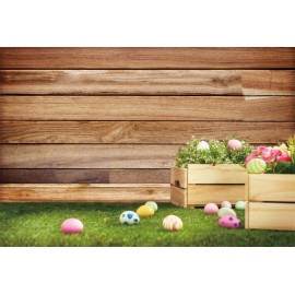 Laeacco Easter Photography Backgrounds Eggs Wooden Boards Grassland Scene Baby Children Photographic Backdrops For Photo Studio