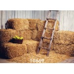 Background Vinyl Photography Backdrops Barn Computer Printed Backdrop for Photo Studio Baby Newborn Children