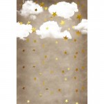 Vinyl Photography Gold Stars White Clouds Baby Party Newborn Children Backgrounds for Photo Studio ZH-148