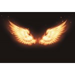 Laeacco Angel Wings Burning Fire Baby Portrait Children Photography Background Customized Photographic Backdrop For Photo Studio