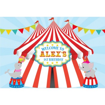 Sensfun Carnival Circus Party Photography Backdrop Bunting 1st Birthday Party Backgrounds Photocall Vinyl