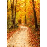 LIFE MAGIC BOX Wood Board Pattern Photo Backgrounds Fotografie Fondo Fotografico De Estudio Happy Easter