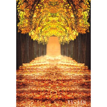 LIFE MAGIC BOX Wood Board Pattern Photo Backgrounds Fotografie Fondo Fotografico De Estudio Happy Easter