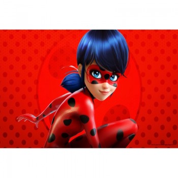 MEHOFOTO Cartoon TV-show Character Vinyl Photography Backdground Miraculous Ladybug Children Backdrops Studio Banner ZR-353