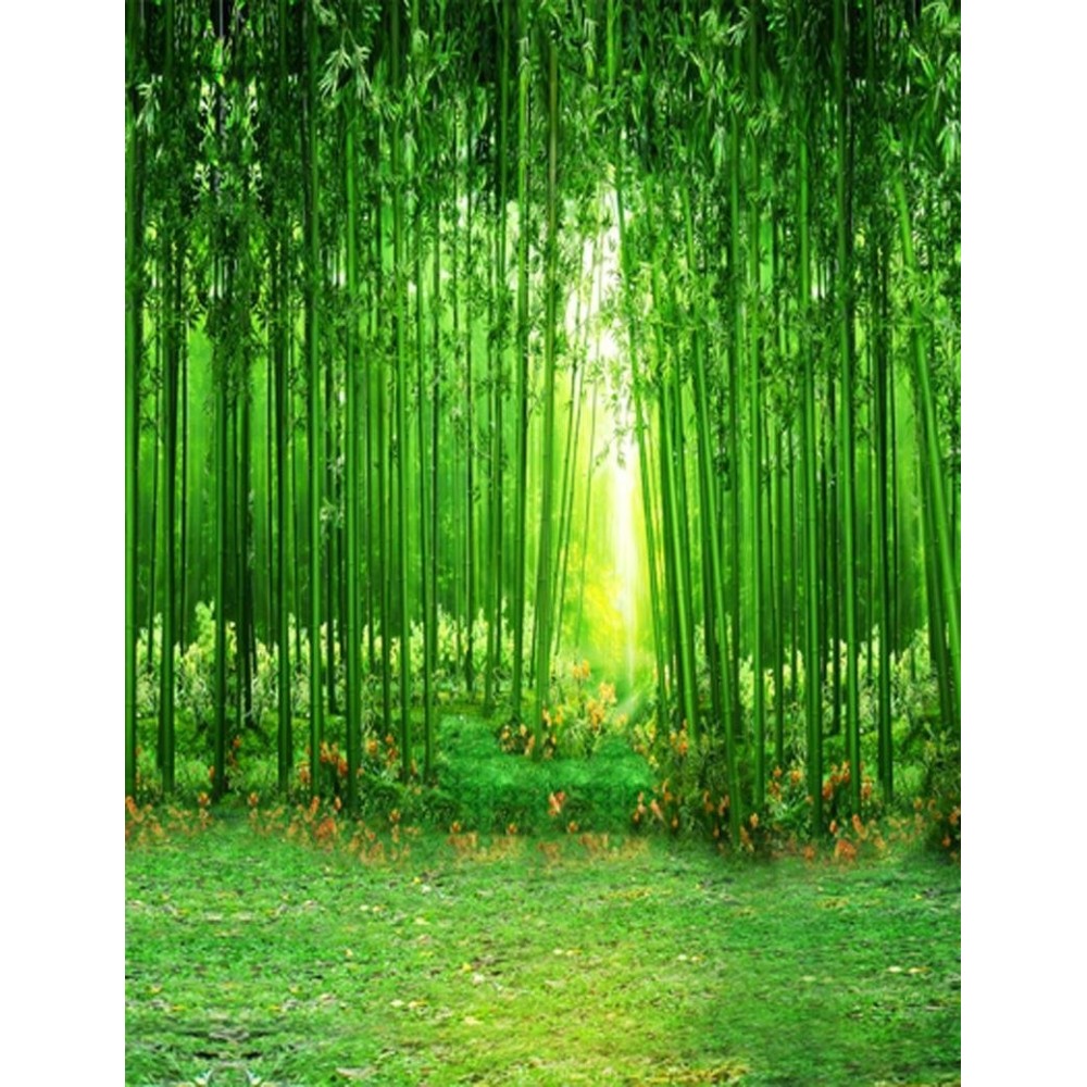 Vinyl cloth High quality Computer printed bamboo photo backdrop green grass  Photography Backgrounds