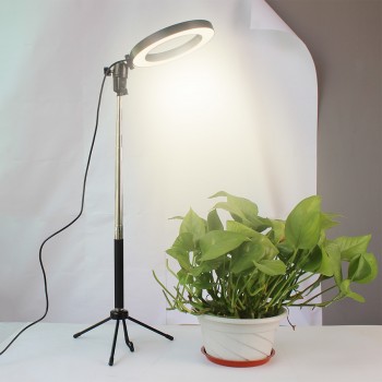 Dimmable LED Studio Camera Ring Light Photo Phone Video Light Lamp With Tripods Selfie Stick Ring Fill Light For Canon Nikon