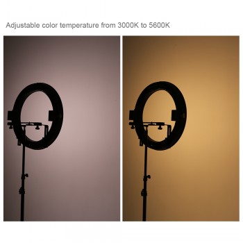 FALCON EYES 512 Ring LED Panel 31W 3000-5600k Lighting Video Film Continuous Light with 180cm Light Stand DVR-512DVC Black