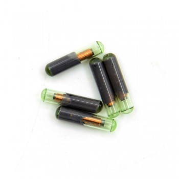 Professional  1PCS ID48 ID:48 ID 48 Glass Transponder Chip High Quality,key transponder chip id48 id 48 megamos crypto chip