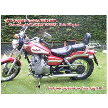 Backrest Sissy Bar Luggage Rack For Honda Rebel CA 250 CMX 250 All Year