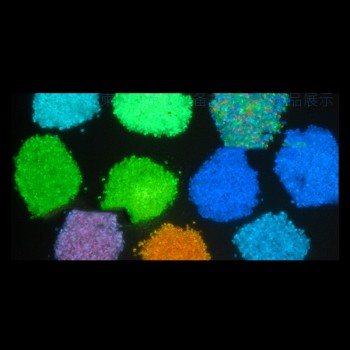 10g Glow In The Dark Luminous Party DIY Bright Noctilucent Sand Fish bowl sand Wishing Bottle Fluorescent Particles Kid Gift Hot