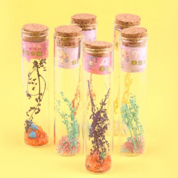 20 pcs/set DIY Magic Bottle Science Project Artificial Ice Landscape Bottle Children Toy Funny Educational DIY Ice Bottle