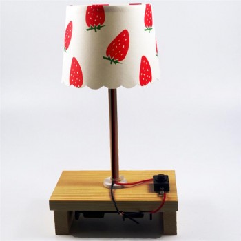 Small Desk Lamp Toys Children Science Experiments DIY Technology Small Making Invention Educational Toy (Random Pattern)
