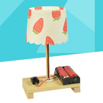 Small Desk Lamp Toys Children Science Experiments DIY Technology Small Making Invention Educational Toy (Random Pattern)