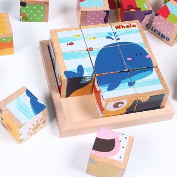 Baby toy Wooden block Chopping block Wooden cubes Animal Fruit Traffic 9pcs 6 side Educational toys for Children