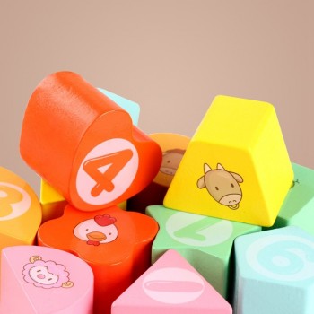 Educational toys Wooden rainbow Drewniane klocki Natural wooden toys Wood blocks Houten blokken naturel Oyuncak Secret box Gifts