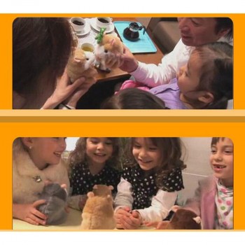 Electronic Talking Hamster Plush Toys Best Early Educational Toy Christmas Gift Speaking Sound Stuffed Electric Pets