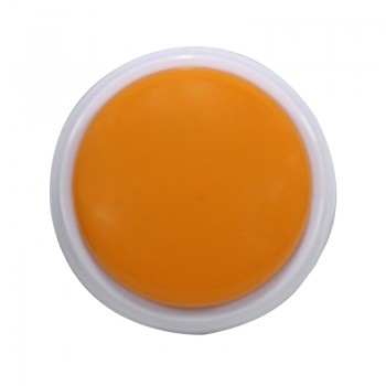 30 Second Custom Recordable Talking Button, Record amp; Playback Your Own Message, Quality Voice Sound Recorder