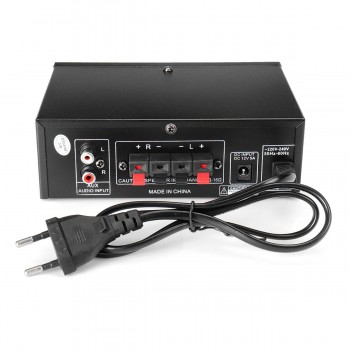 600W 12V/220V 2 Mic Stereo Speaker Mini Car Home Bass Power Amplifier HiFi MP3 Booster AK-698C 16x11.5x5.2cm Low Consumption