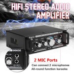 600W 12V/220V 2 Mic Stereo Speaker Mini Car Home Bass Power Amplifier HiFi MP3 Booster AK-698C 16x11.5x5.2cm Low Consumption