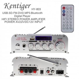 12V 2CH HI-FI Bluetooth Car Audio Power Amplifier FM Radio Stereo Audio Music Player Support SD USB MP3 DVD Input