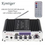 12V 2CH HIFI Bluetooth Car Power Amplifier FM Radio Stereo Audio Music Player Support SD USB MP3 DVD Input for Auto Motorcycle