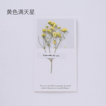 20pcs/lot DIY Greeting Card+Envelope/set Cute Love MessageTeachers Day Valentines Day Gift Christmas Toy for Girlfriend A194