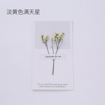 20pcs/lot DIY Greeting Card+Envelope/set Cute Love MessageTeachers Day Valentines Day Gift Christmas Toy for Girlfriend A194