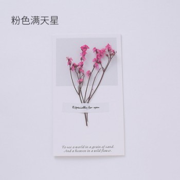 20pcs/lot DIY Greeting Card+Envelope/set Cute Love MessageTeachers Day Valentines Day Gift Christmas Toy for Girlfriend A194