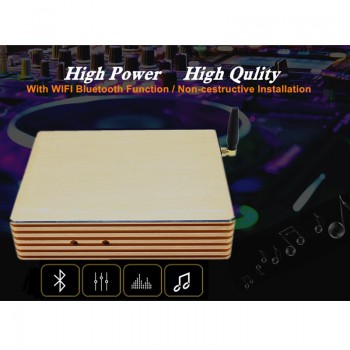 PFTKJCP 31 Bands Car Audio DSP Digital Audio Processing Amplifier with Bluetooth WIFI For volkswagen toyota most cars high power