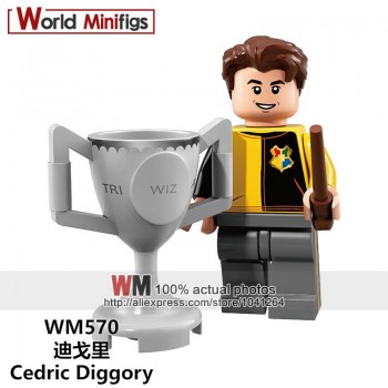 Single Legoings harri potter Hogwarts Building Blocks Rubeus Hagrid Hermione Ron Weasley Bole Seamus Finnigan Fantastic Beasts