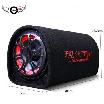 Shipping Free 5 inch 12v , 220v Car audio hifi  Active Booster speakers Tube, KTV boom box stage Hifi speaker Subwoofers