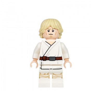 Legoing Star Wars Darth Vader Luke Anakin Leia Han Solo Yoda Ewok Padme Amidala Star Wars Figures Blocks Toys Legoings Starwars