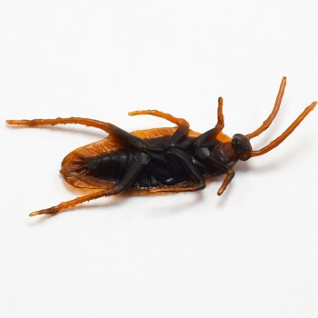 10Pcs Funny Fake Cockroach Halloween Decoration Jokes Pranks Maker Fun Novelty Tricks Simulation False Cockroach Toys