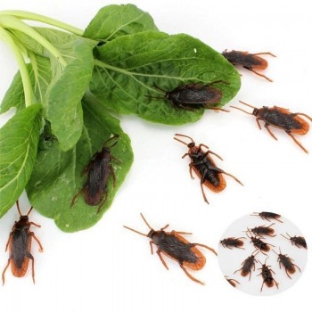 10Pcs Funny Fake Cockroach Halloween Decoration Jokes Pranks Maker Fun Novelty Tricks Simulation False Cockroach Toys