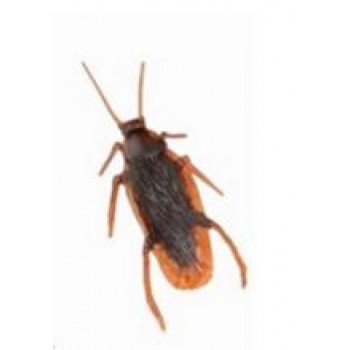 Mischief Turd Flies Cockroach Gag Gift Realistic Shits Poop Fake Feces Turd Maggot Practical Gag Funny Joke Insects Gadget Toy