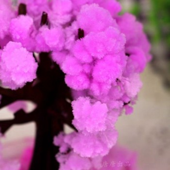 2019 10x8cm Cool Japan!ThumbsUp!Magic Japanese Sakura Tree-Brand New Made in Japan Pink Magically Decorative Growing Paper Trees
