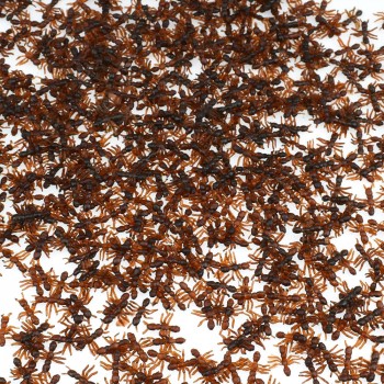 10pcs/lot Simulation Ants Toys Model April Fools Day Persecute Others Funny Terror