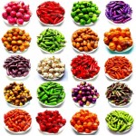 10 Pcs/Set Miniature Fruit Vegetable Kitchen Artificial Fake Eggplant Cucumber Apple Home Decor Kitchen Toy For Girls Gift