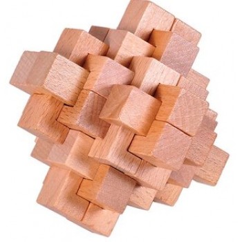 Classic IQ Wooden Puzzle Mind Brain Teasers Burr Puzzles Game Toys for Adults Children