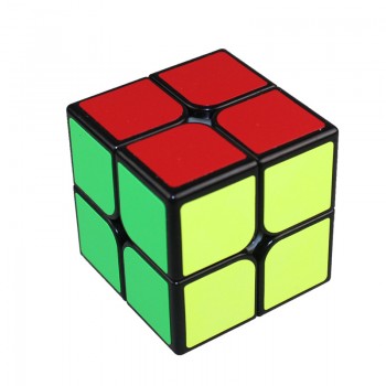Qiyi QiDi S 2x2 Magic Cube Professional Speed Puzzle Cube Training Brain Toys Gifts For Children