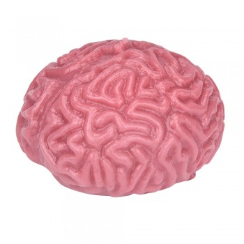 Novelty Squishy Brain Toy Squeezable Fun Toys Relieve Stress Ball Cure Squeeze Toy Stress Relief Reliever Drop Shipping