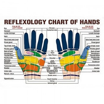 10 Pcs Finger Massage Beauty Tool Health Care Circulation Rings Acupressure Su-Jok Sujok Pain Therapy ZXY9186